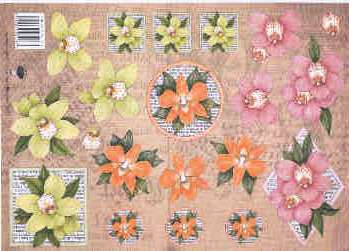 knipvellen/nel van veen/nelvanveen_2261.jpg